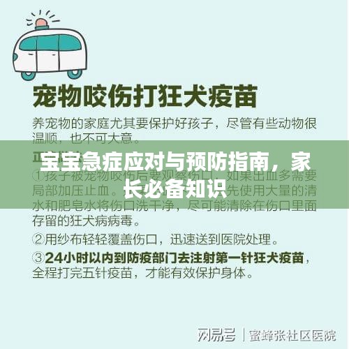 寶寶急癥應(yīng)對與預(yù)防指南，家長必備知識