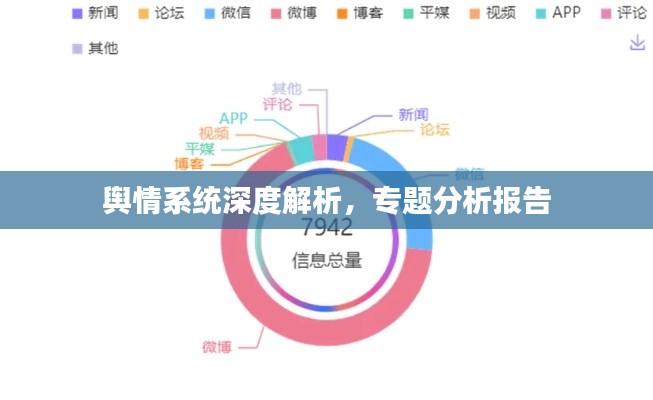 輿情系統(tǒng)深度解析，專題分析報告