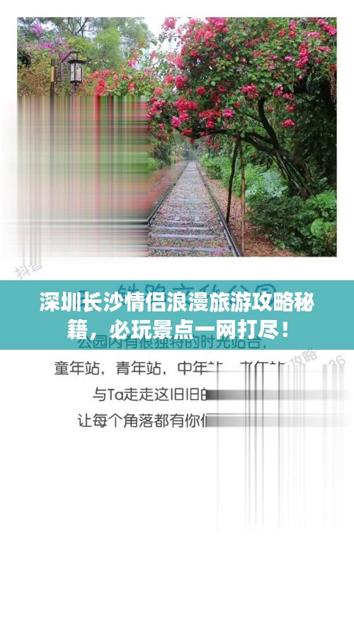 蟲蝕鳥(niǎo)步