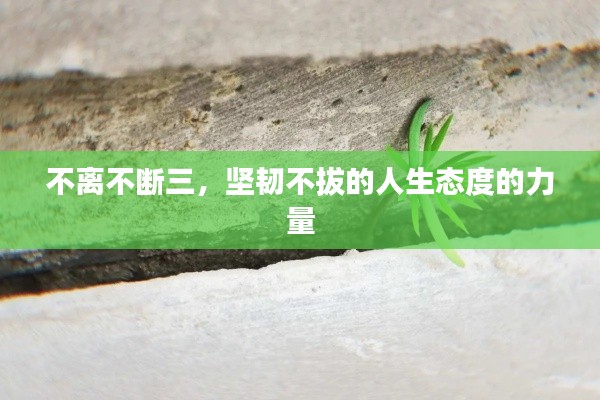 不拘小節(jié)