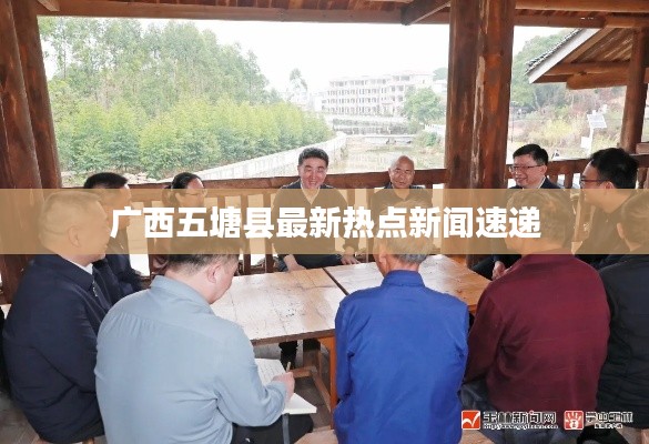 目不轉(zhuǎn)睛