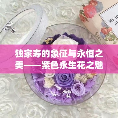 獨(dú)家壽的象征與永恒之美——紫色永生花之魅
